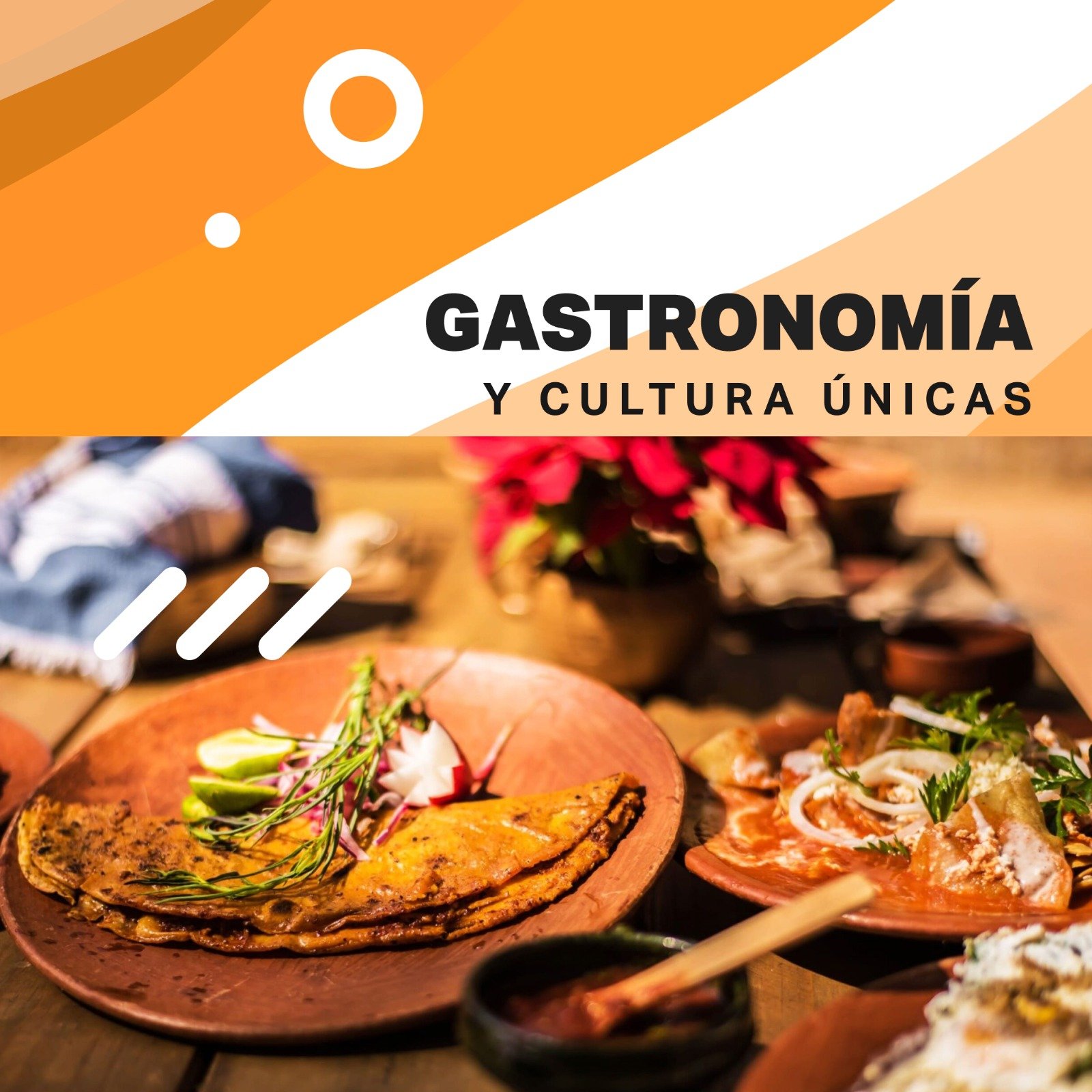 gastronomia gastronomia oaxaqueña